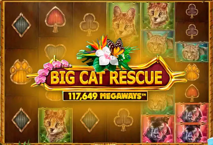 Registrazione facile su Bonus Monster Casino.