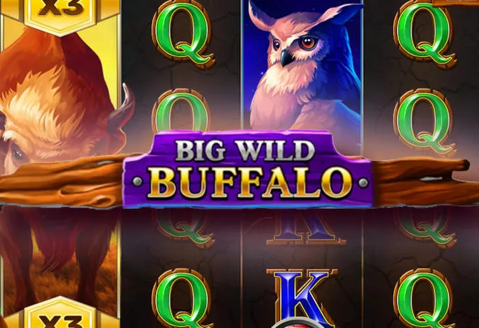 Discover the Monster Casino Free Spins Bonus Offers page.